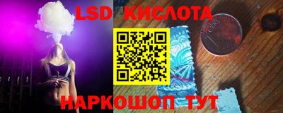 прущие грибы Будённовск