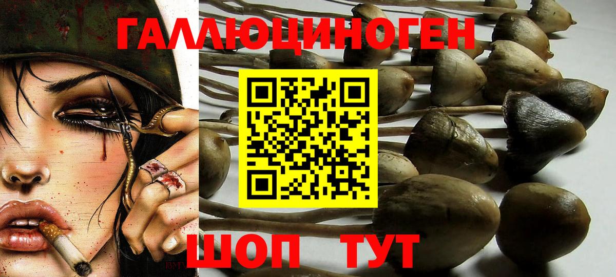 Псилоцибиновые грибы прущие грибы Наро-Фоминск