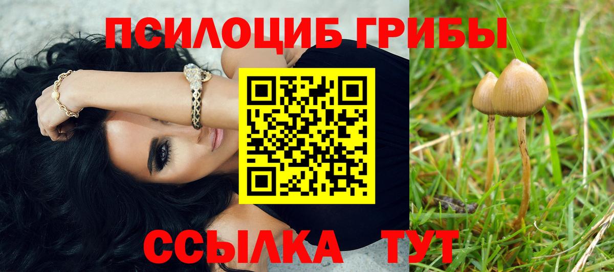 Наро-Фоминск  Псилоцибиновые грибы Cubensis  Вход с VPN 